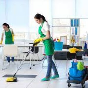 download-9 Hawaii Cleaning Services
