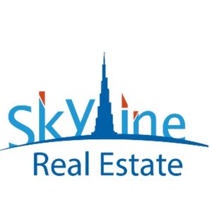 download-45 Skyline Real Estate